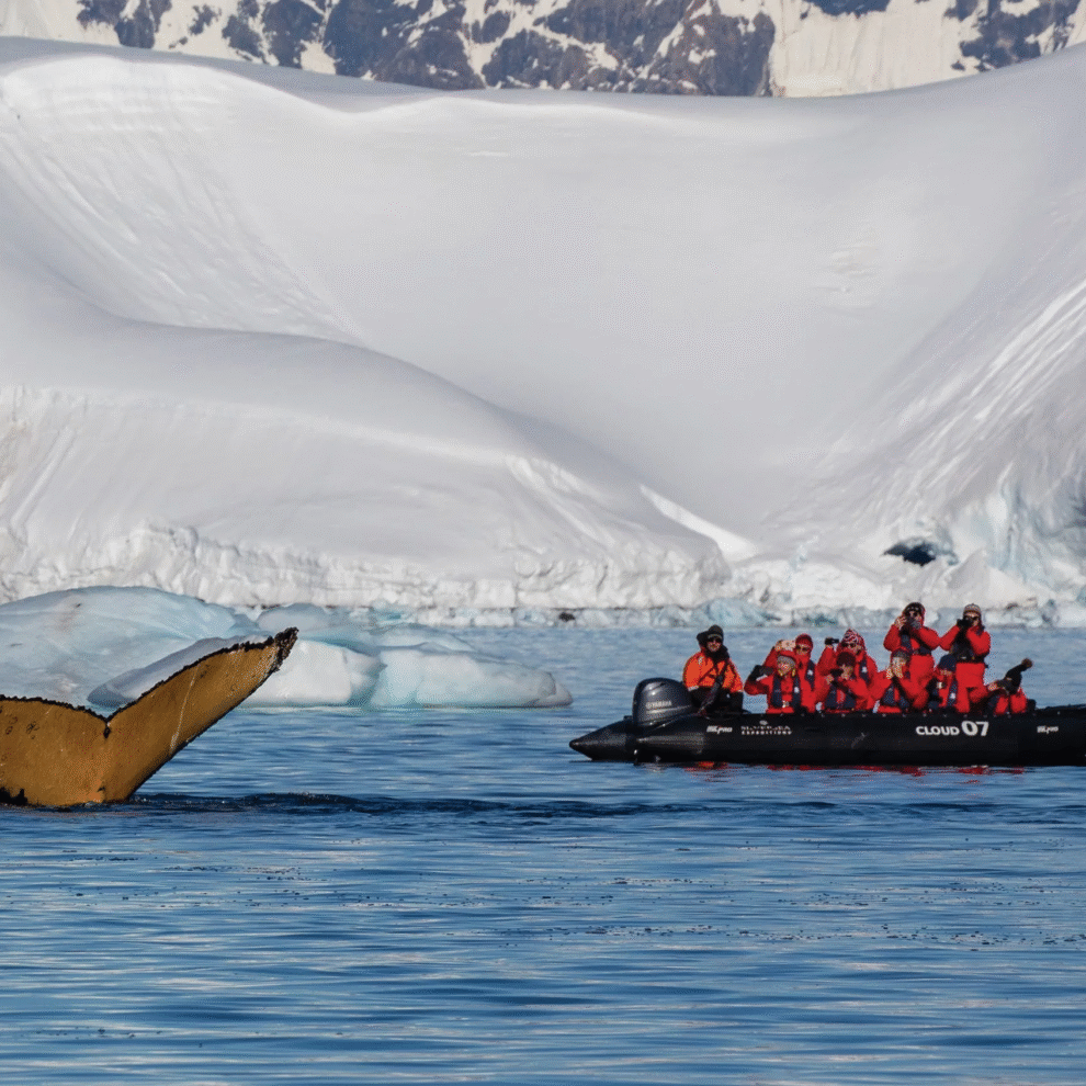 Antarctica