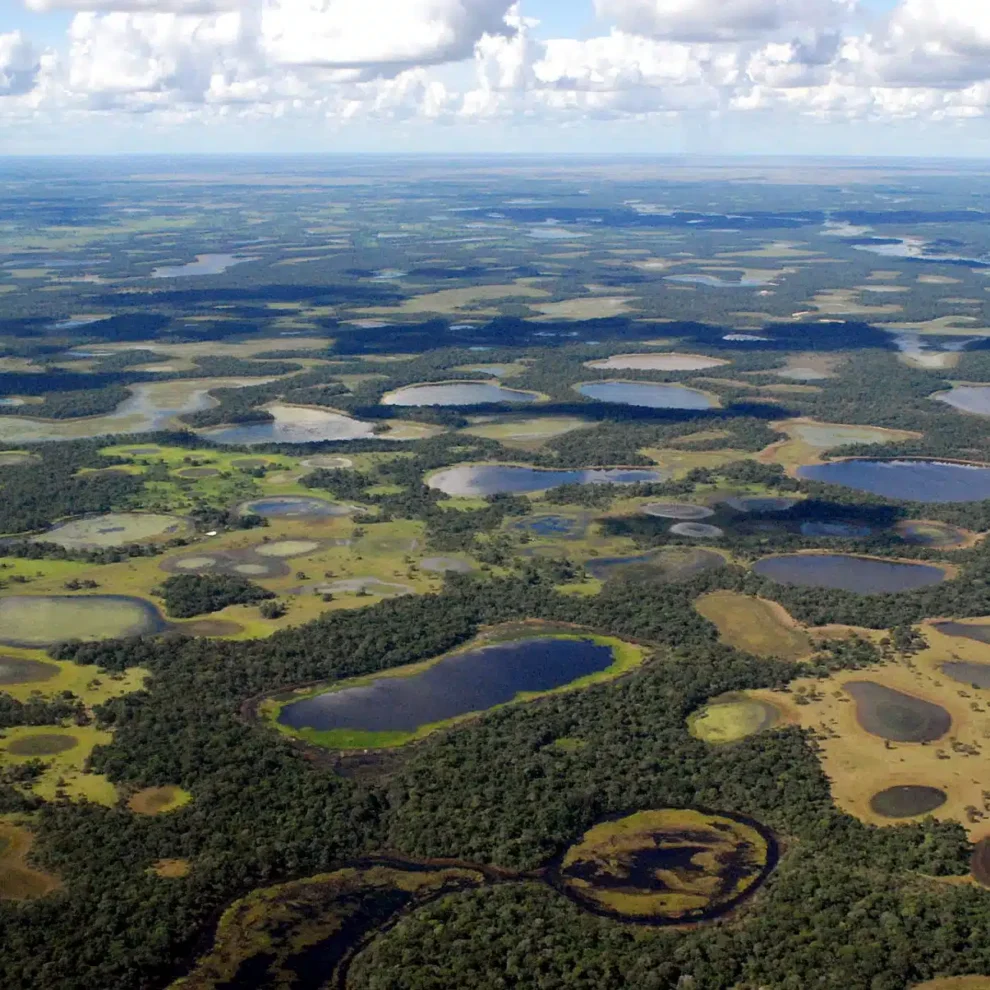 Pantanal