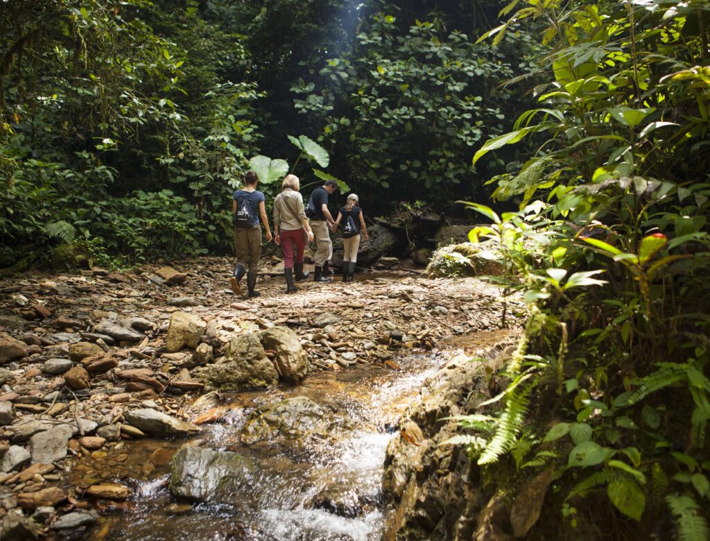 Nature’s Bounty – The Galapagos Islands and Chocó Rainforest